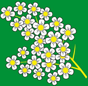 Cheremushki.su