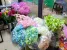 Цветочный салон KoAl flowers на Профсоюзной улице Изображение 18
