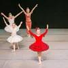 Школа балета Иданко на улице Гарибальди Изображение 2