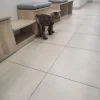 Ветеринарная клиника Vet Union на Профсоюзной улице Изображение 2